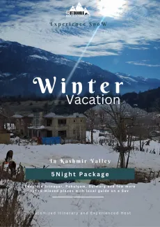 Winter Kashmir